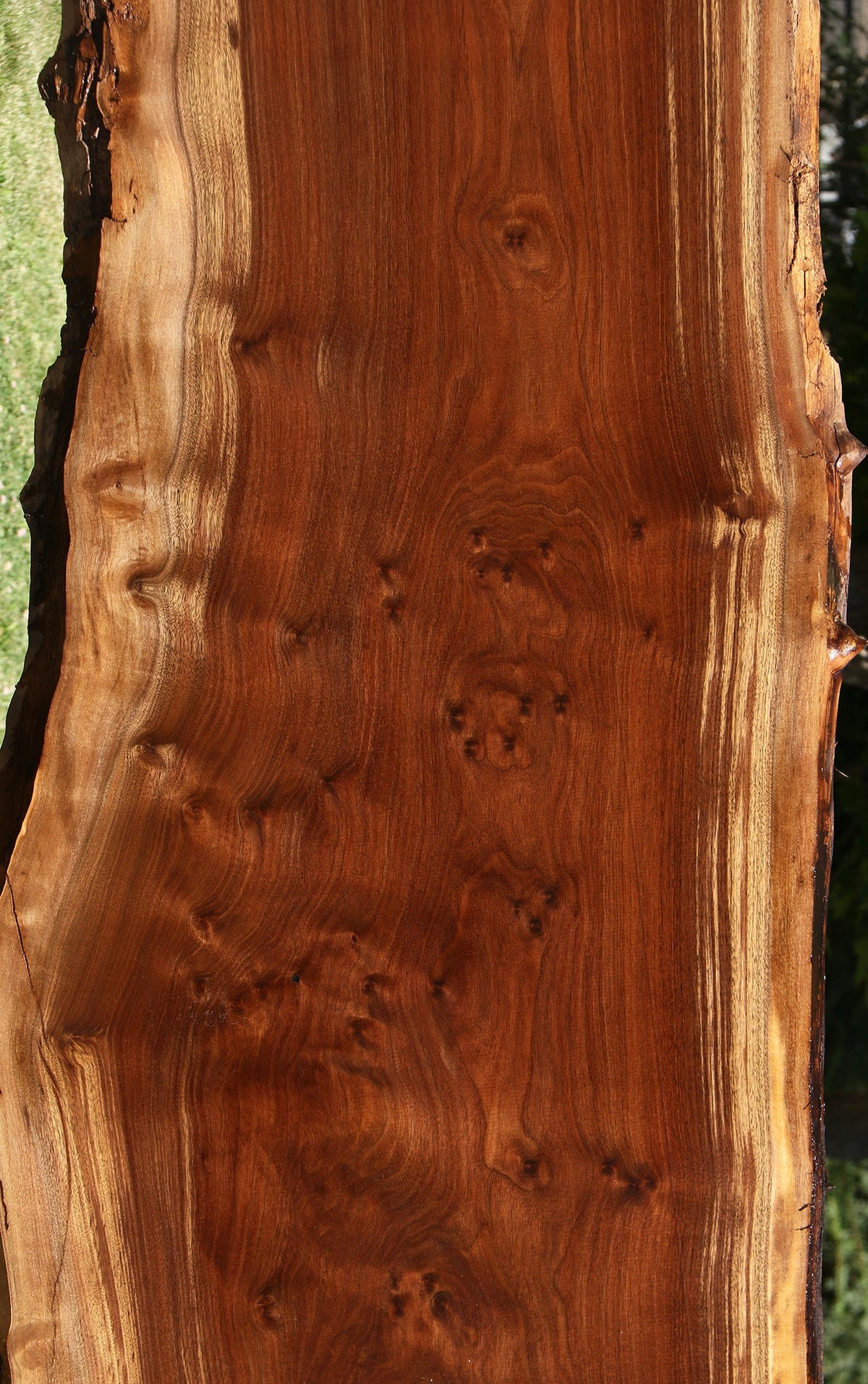 Extra Fancy Claro Walnut Live Edge Slab