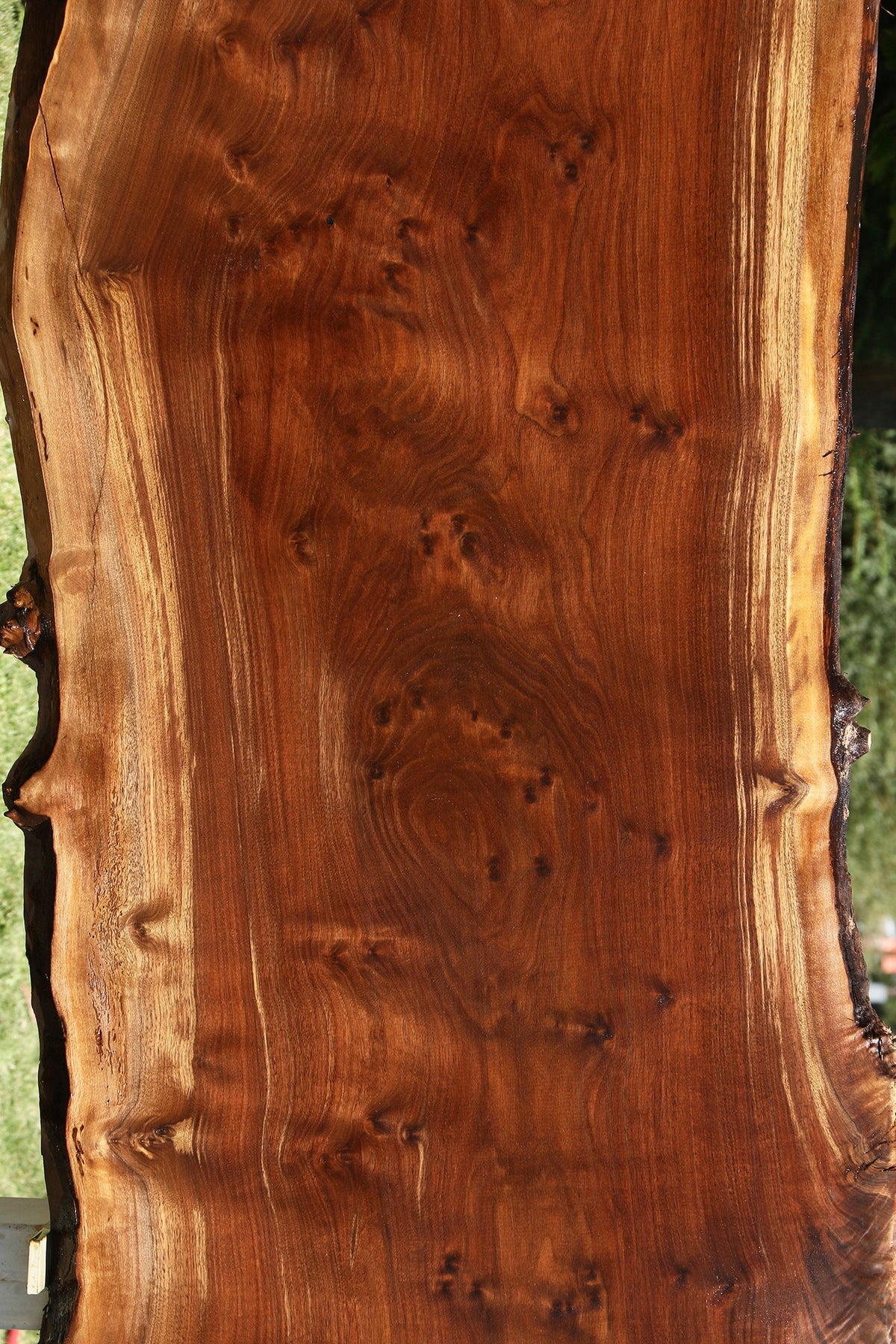 Extra Fancy Claro Walnut Live Edge Slab