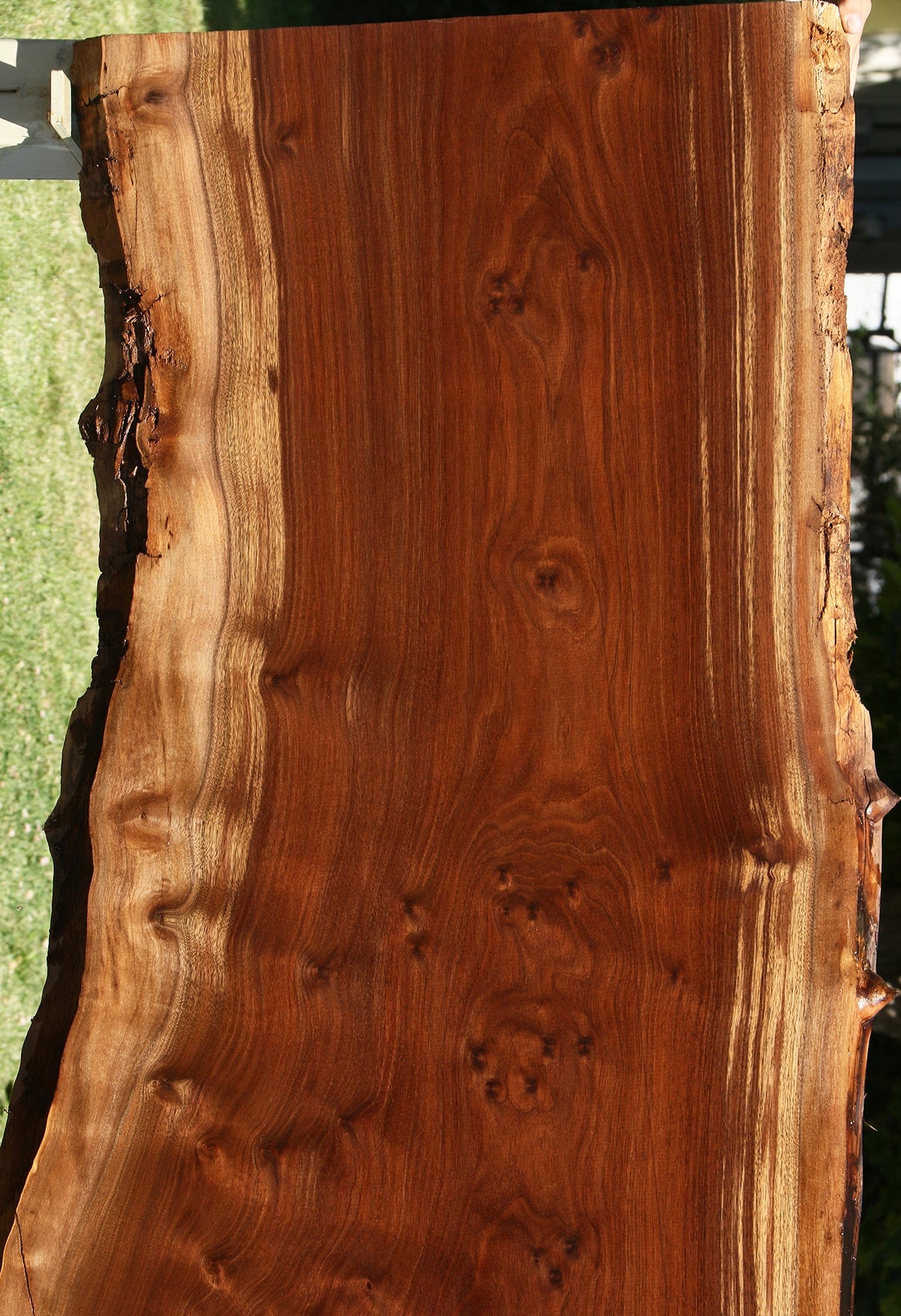Extra Fancy Claro Walnut Live Edge Slab