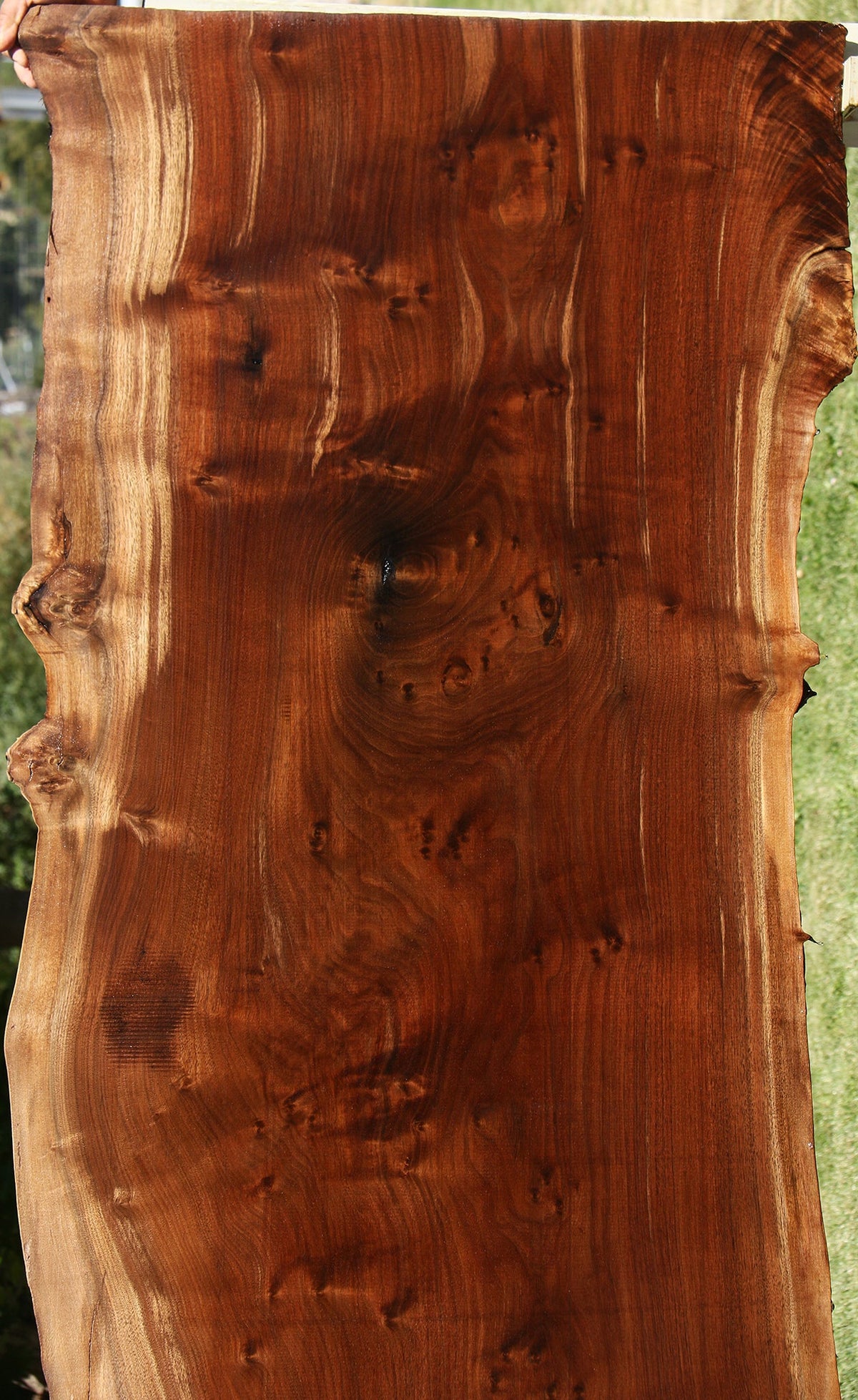 Extra Fancy Claro Walnut Live Edge Slab
