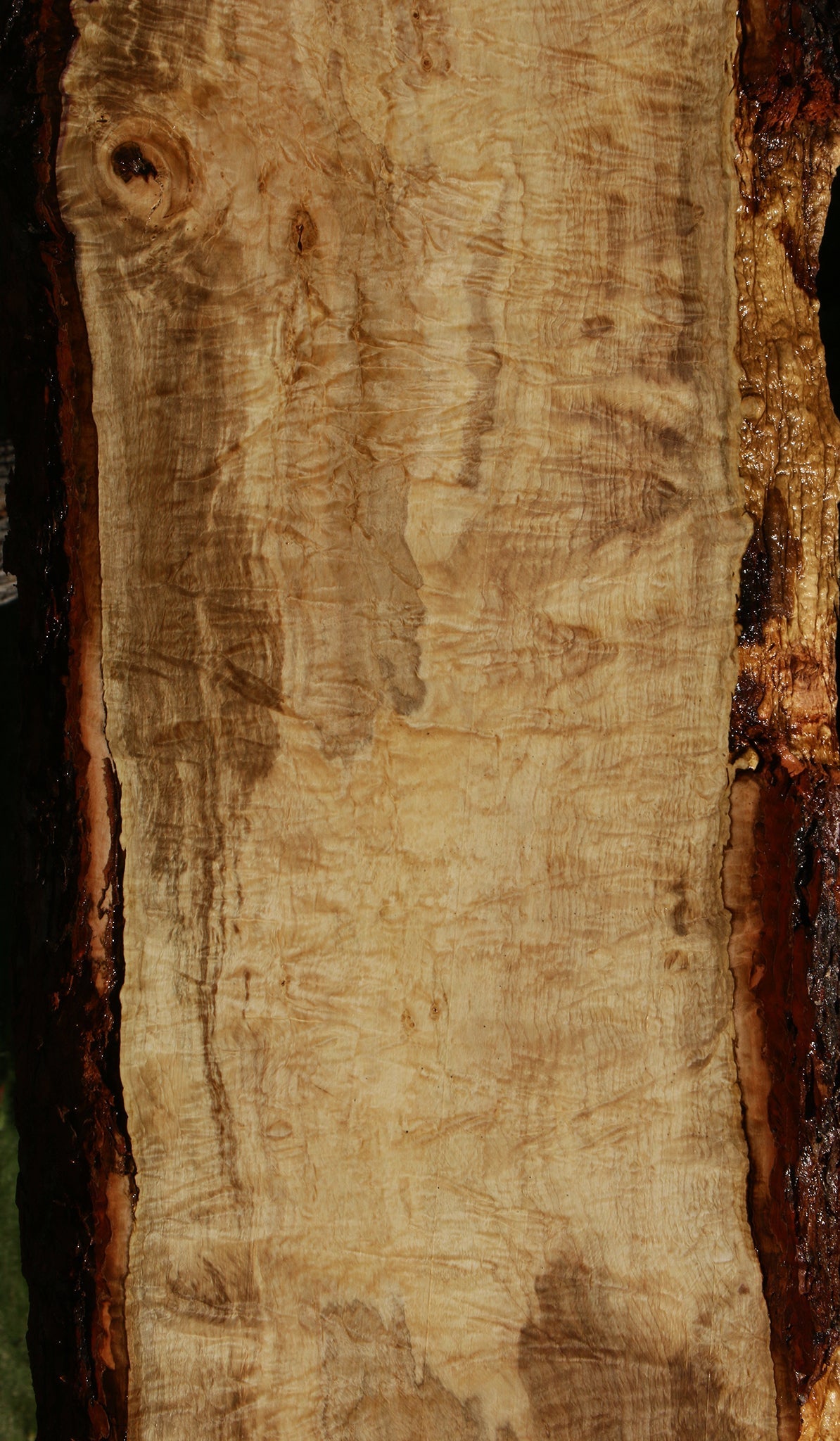 Extra Fancy Silver Maple Live Edge Slab