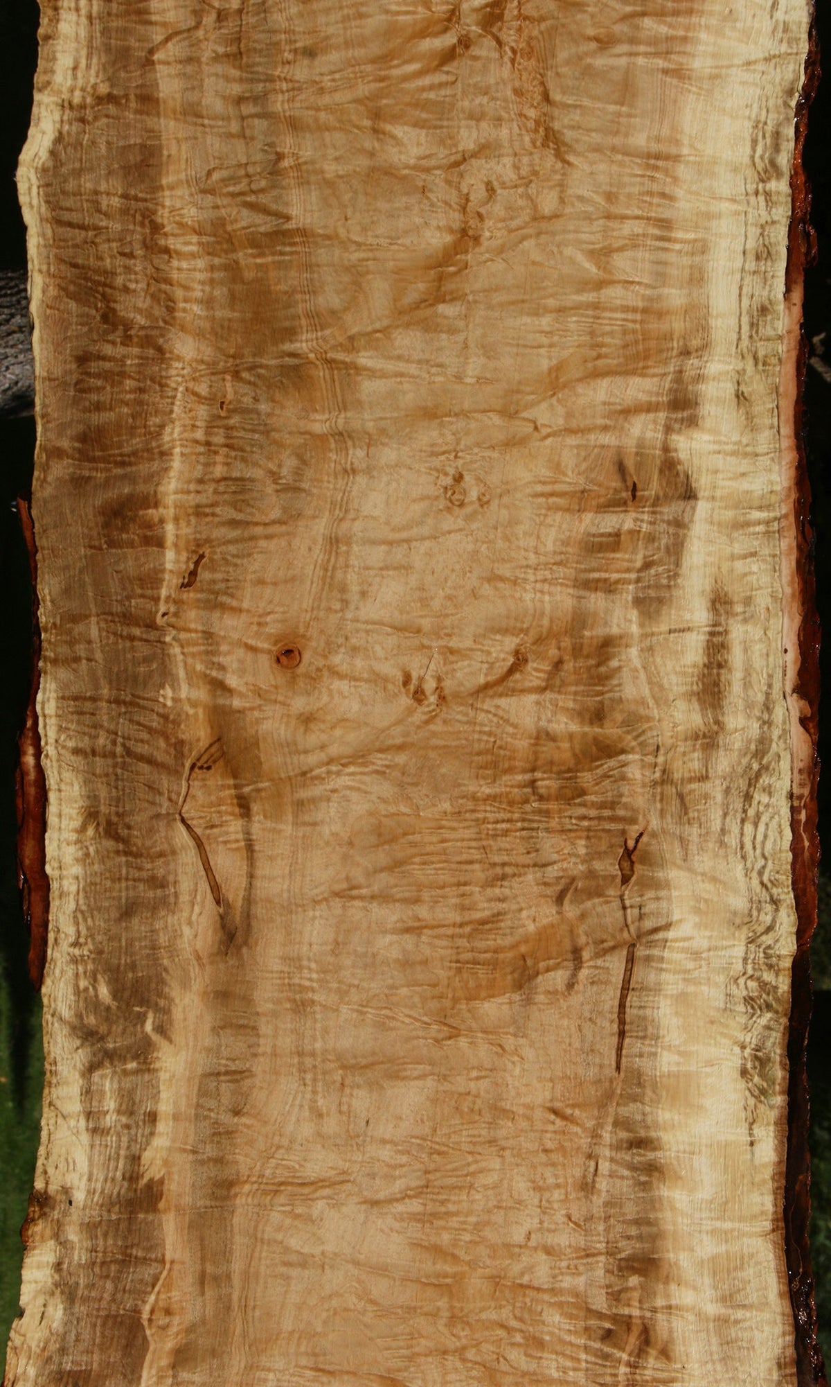 Extra Fancy Silver Maple Live Edge Slab