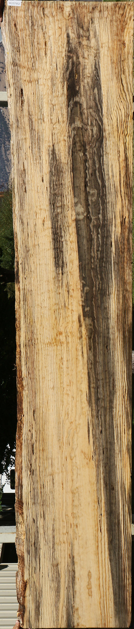 122" Quilted Ponderosa Pine Live Edge Slab
