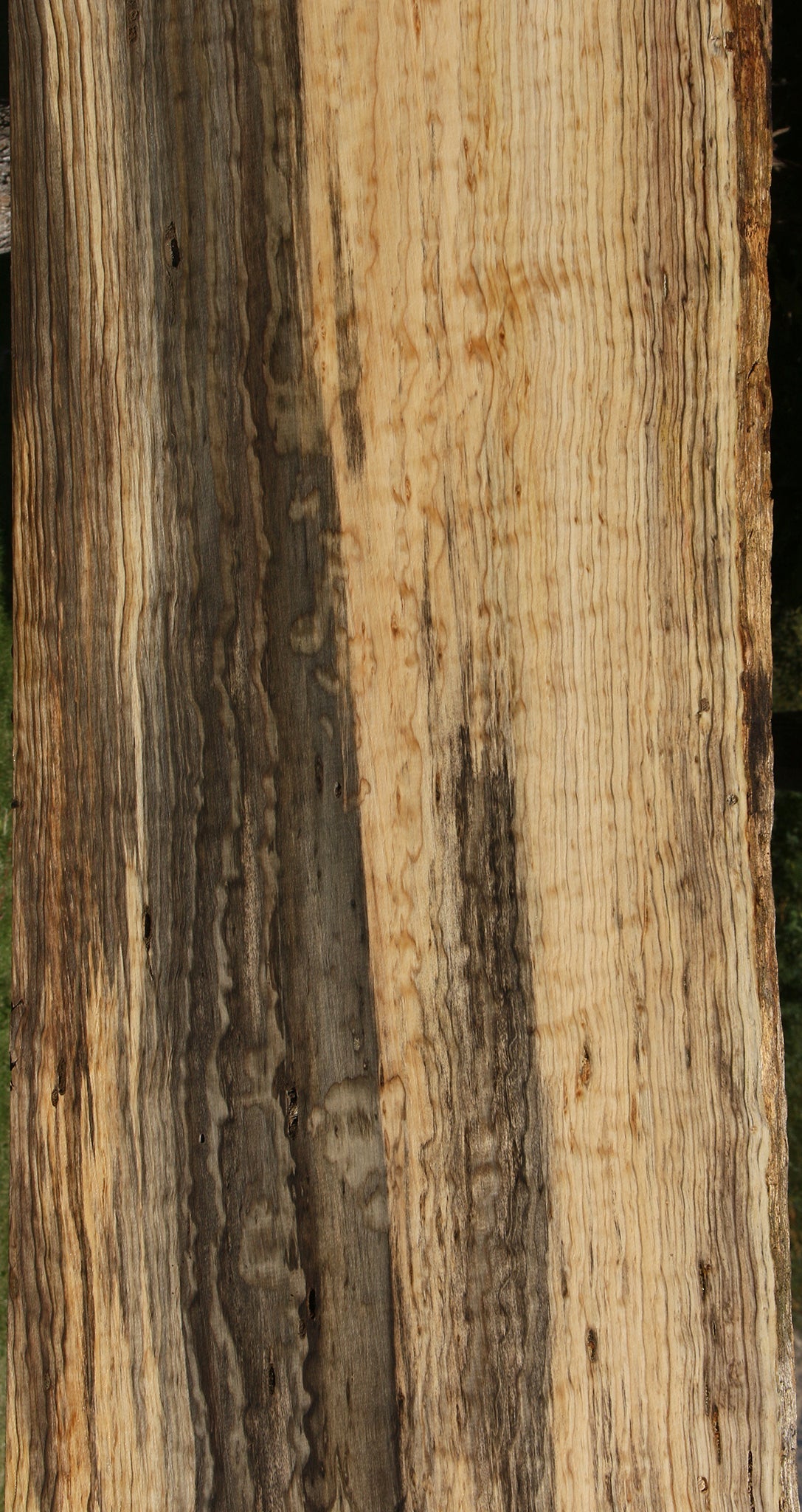 122" Quilted Ponderosa Pine Live Edge Slab