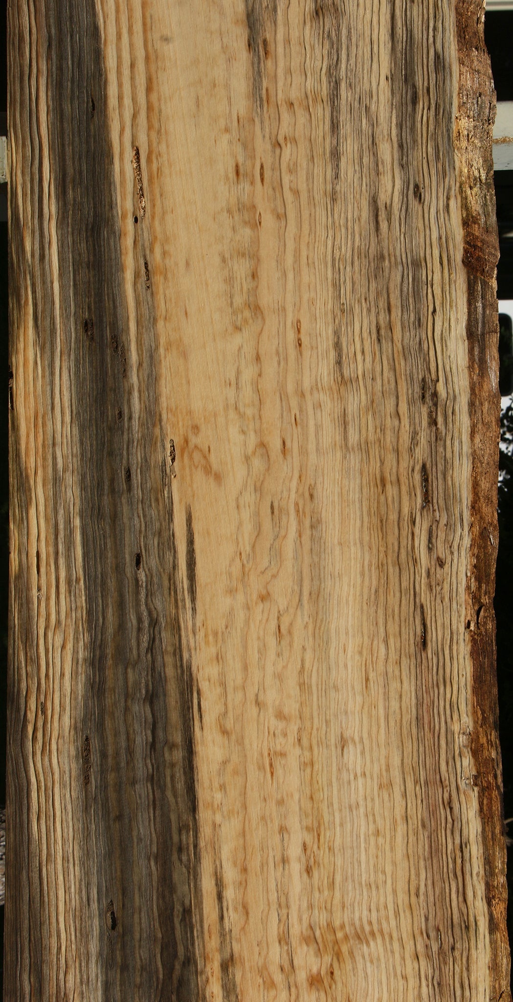 122" Quilted Ponderosa Pine Live Edge Slab