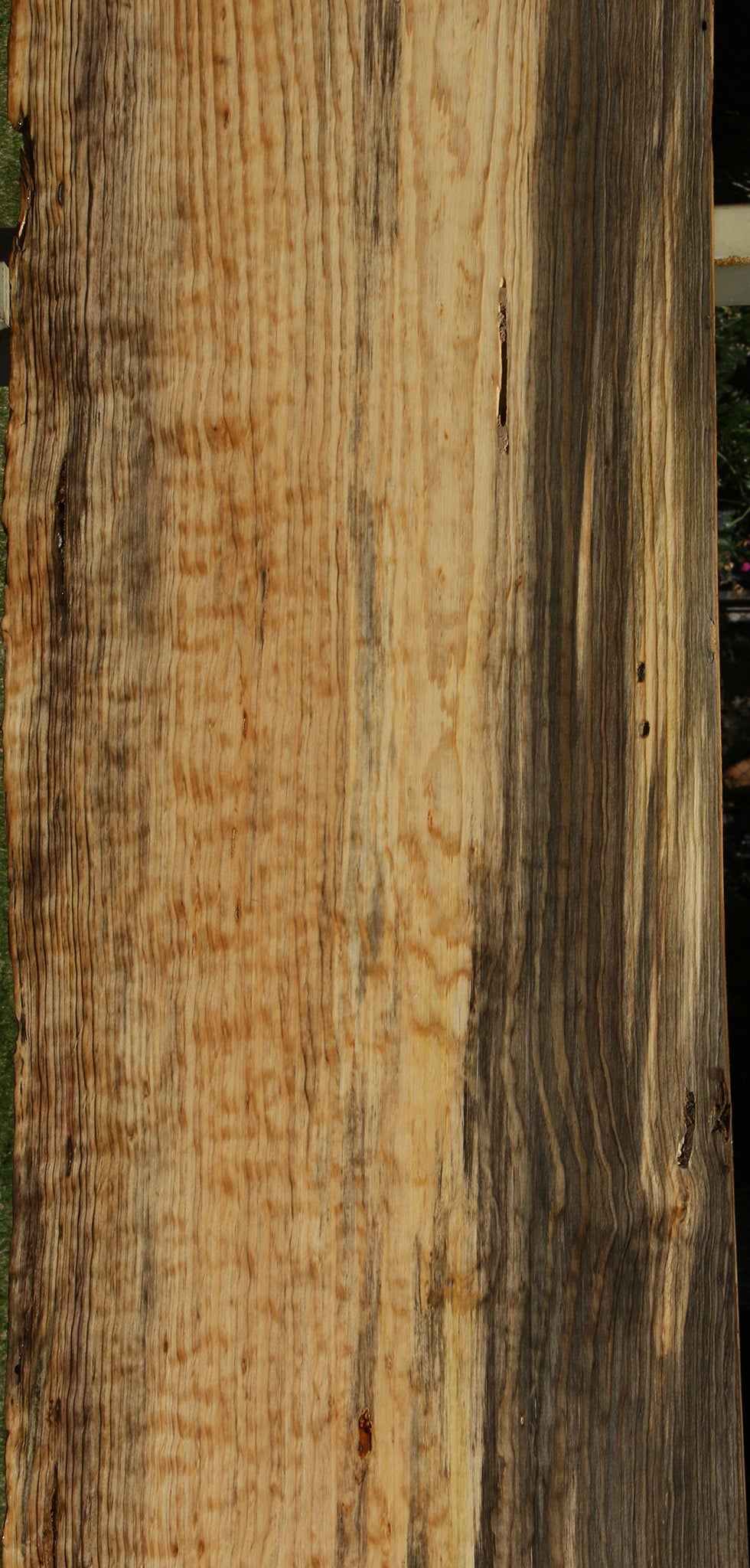 122" Quilted Ponderosa Pine Live Edge Slab