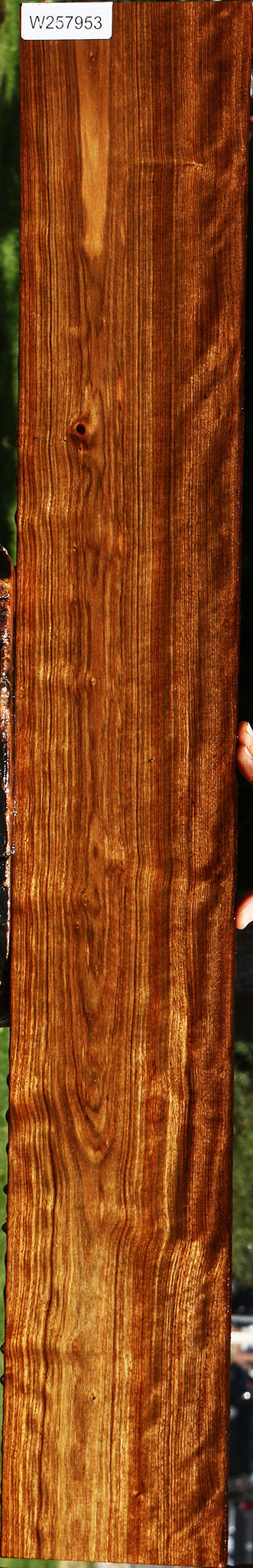 Chechen Micro Lumber
