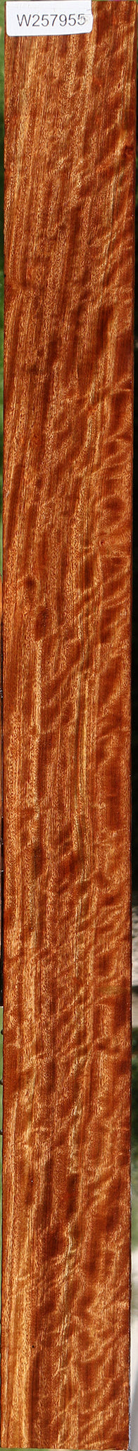 Extra Fancy Chechen Lumber