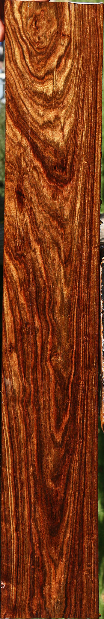 Exhibition Chechen Micro Lumber