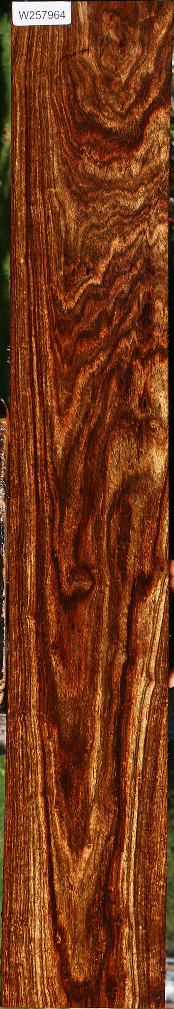 Exhibition Chechen Micro Lumber