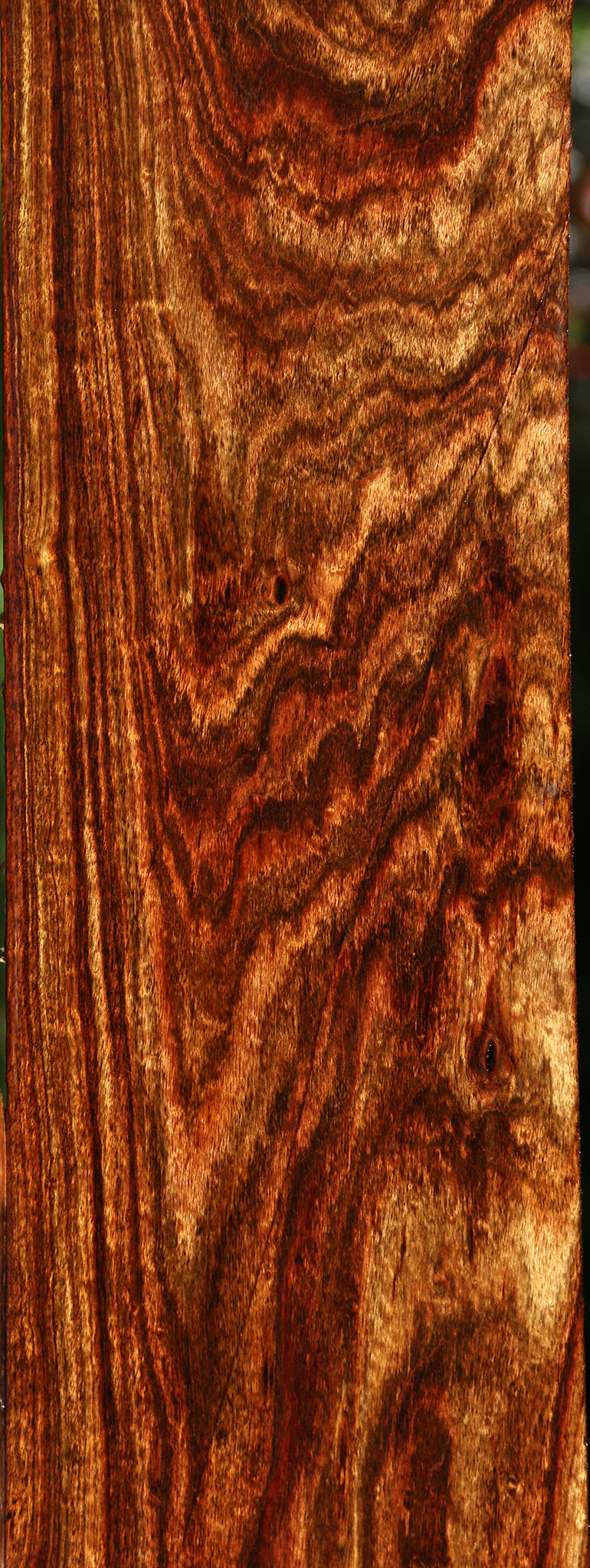 Exhibition Chechen Micro Lumber