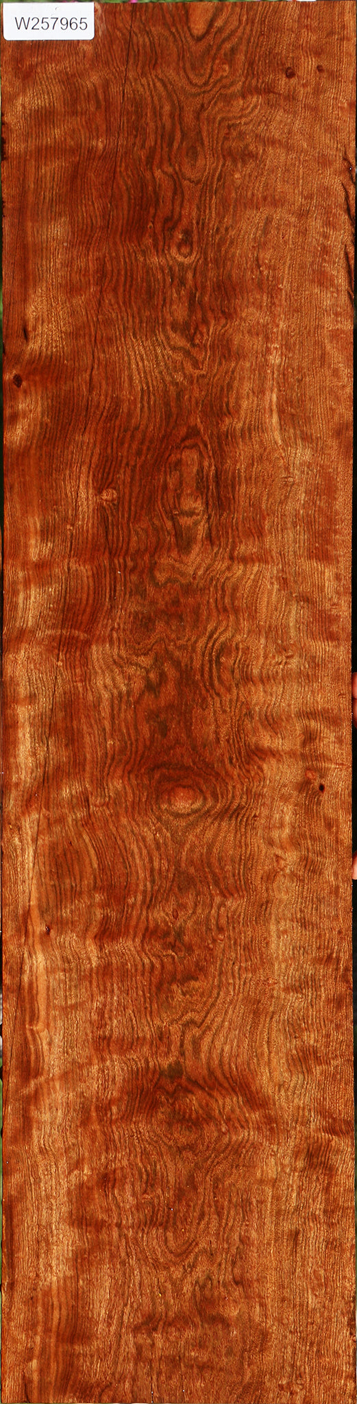 Extra Fancy Chechen Lumber