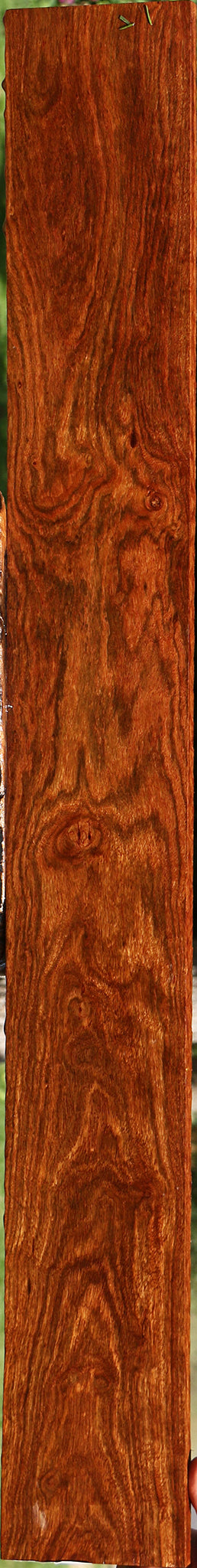Extra Fancy Chechen Lumber