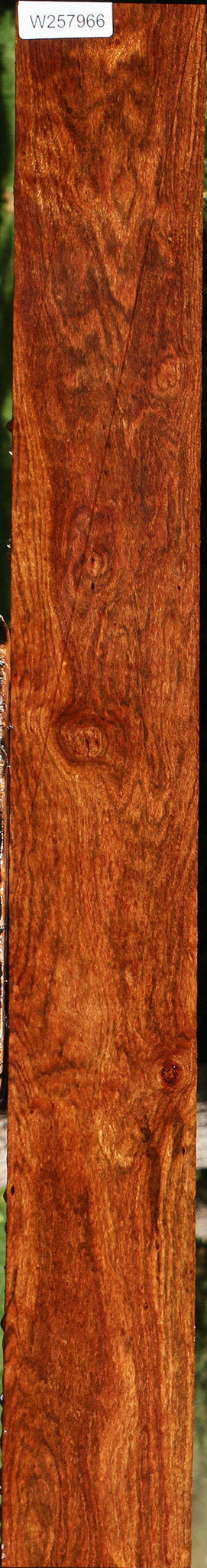 Extra Fancy Chechen Lumber