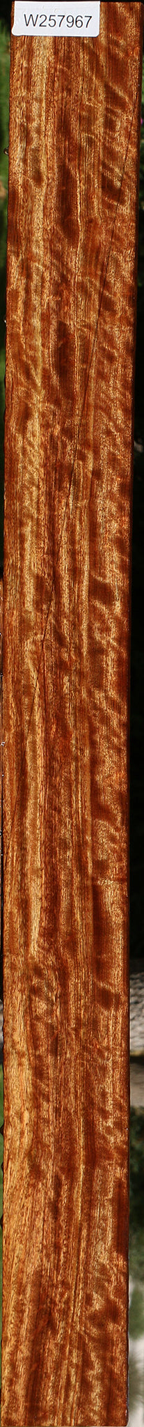 Extra Fancy Chechen Lumber