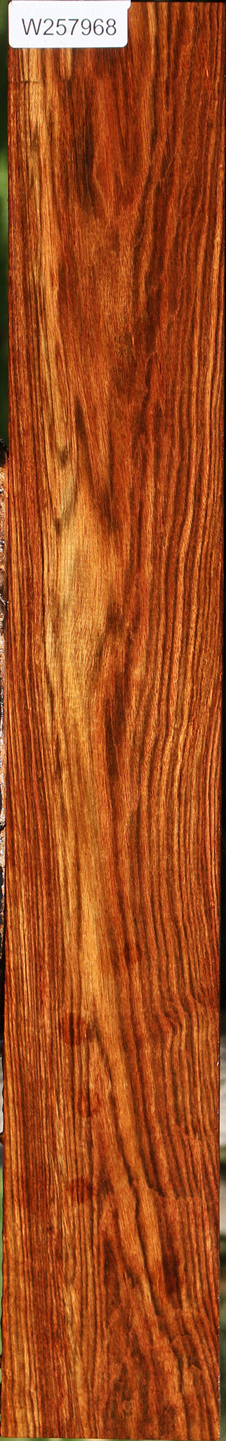 Chechen Lumber