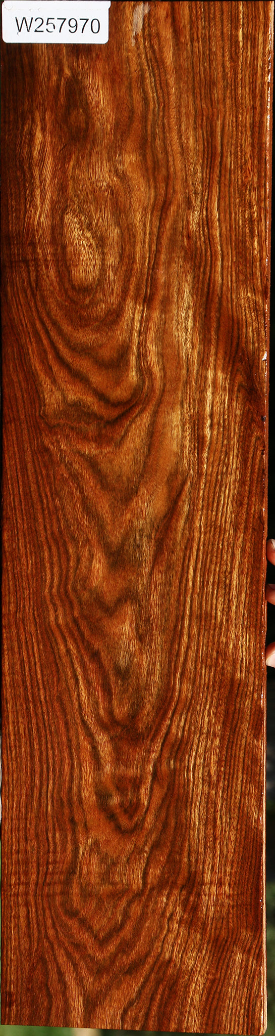 Chechen Lumber