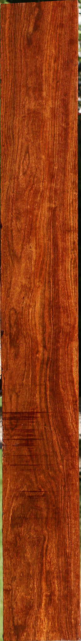 Figured Chechen Lumber