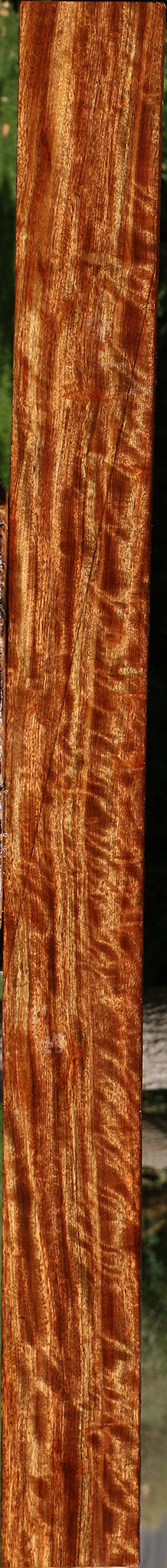 Extra Fancy Chechen Lumber