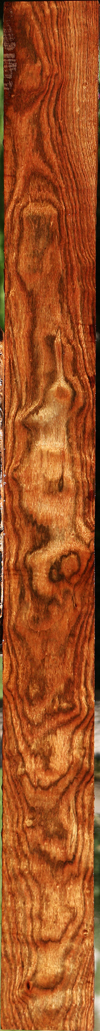 Extra Fancy Chechen Lumber