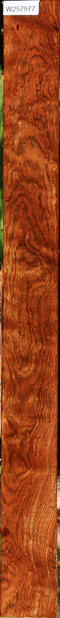 Extra Fancy Chechen Lumber