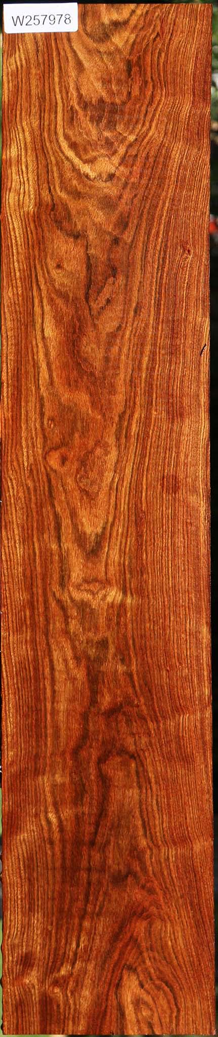 Chechen Lumber