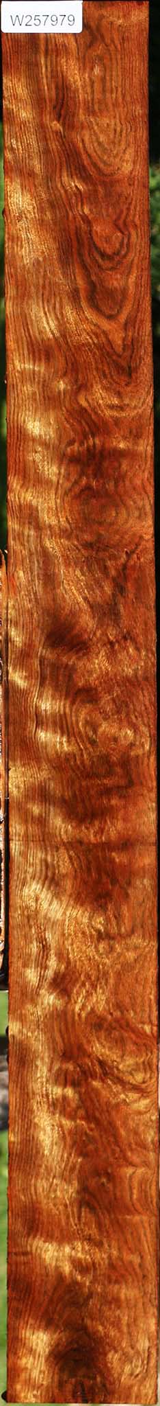 Figured Chechen Lumber