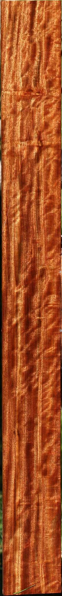 Extra Fancy Chechen Lumber