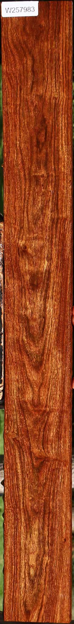 Figured Chechen Lumber