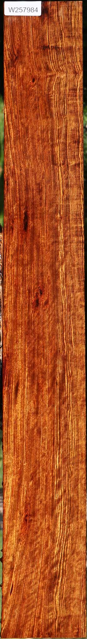 Extra Fancy Chechen Lumber