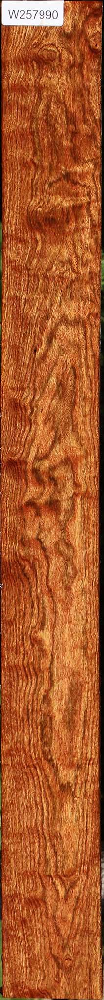 Extra Fancy Chechen Lumber
