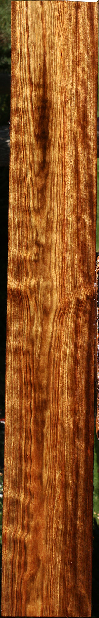 Figured Chechen Micro Lumber