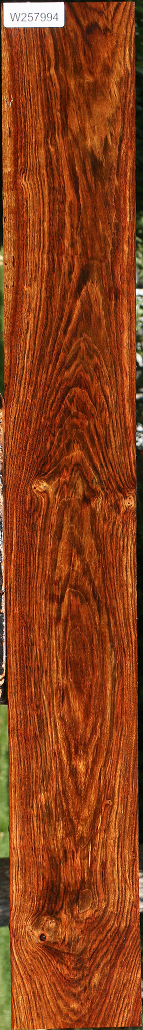 Chechen Lumber
