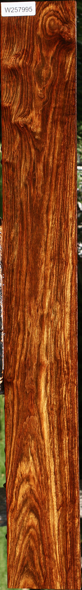Figured Chechen Lumber