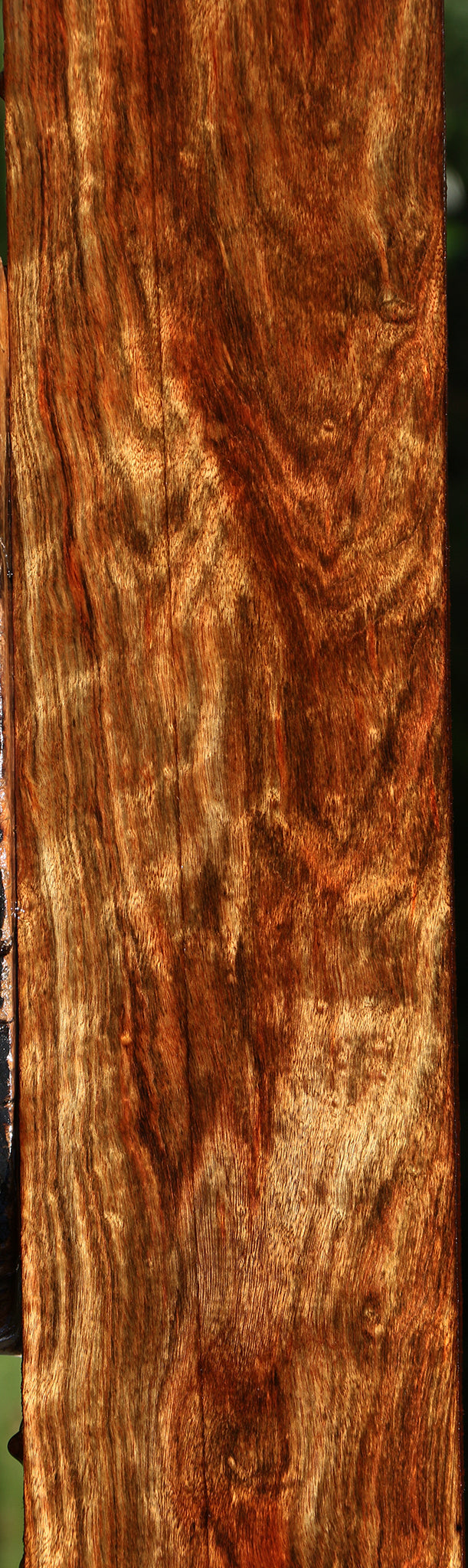 Extra Fancy Chechen Lumber