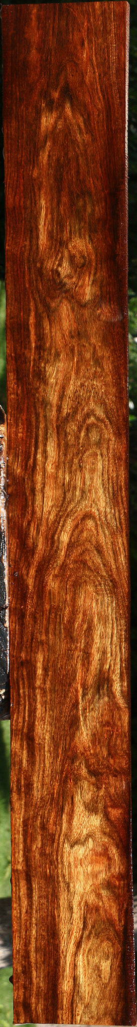 Extra Fancy Chechen Lumber