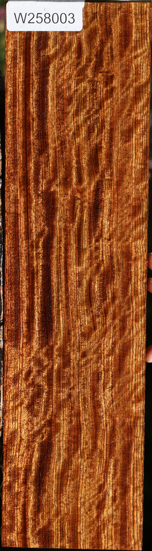 Extra Fancy Quartersawn Chechen Lumber