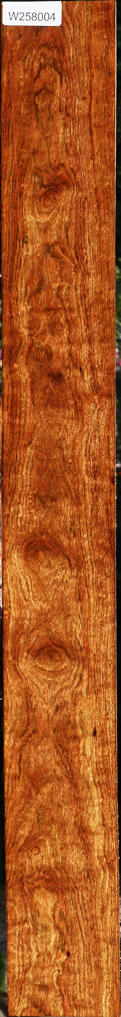 Extra Fancy Chechen Lumber