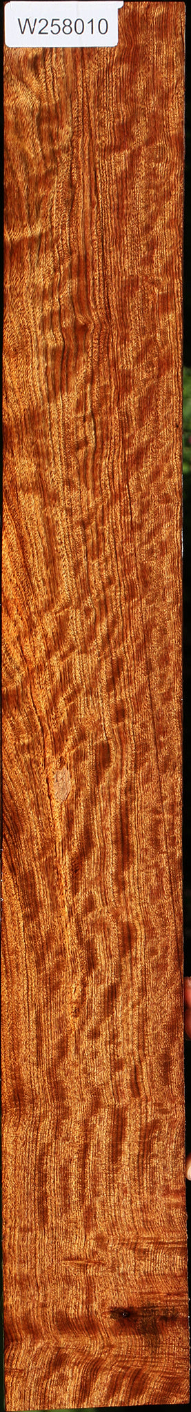 Extra Fancy Chechen Lumber