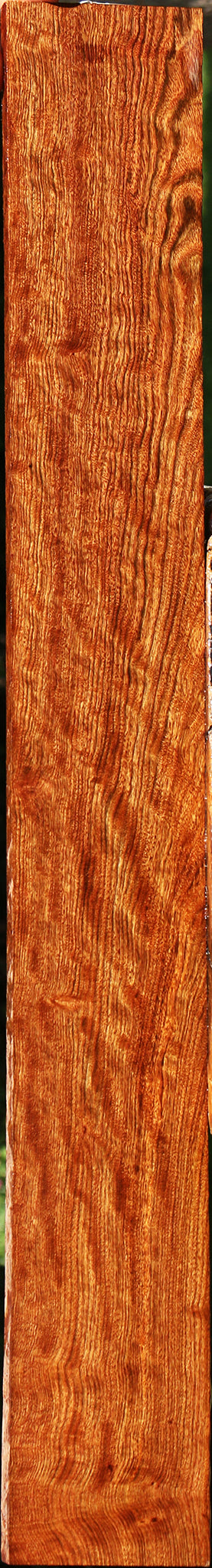 Extra Fancy Chechen Lumber