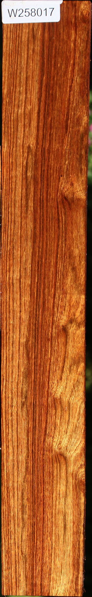 Chechen Lumber