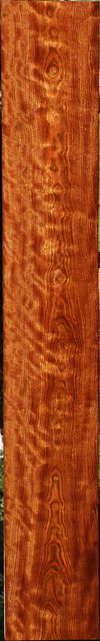 Extra Fancy Chechen Lumber