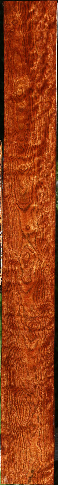 Extra Fancy Chechen Lumber