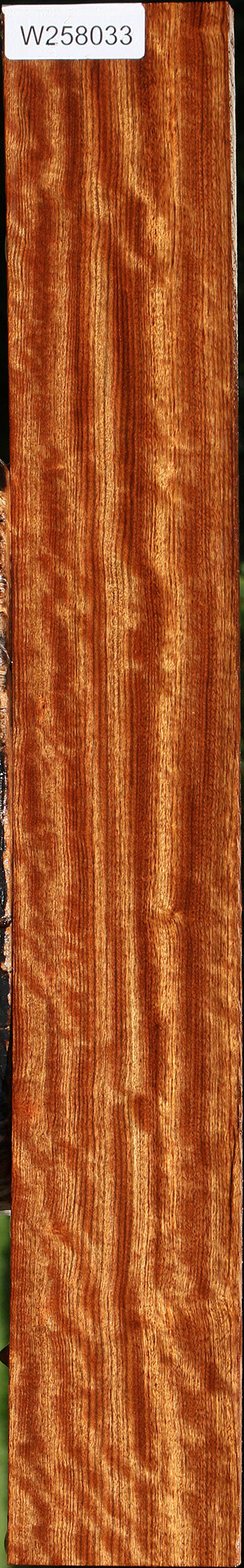 Extra Fancy Quartersawn Chechen Lumber