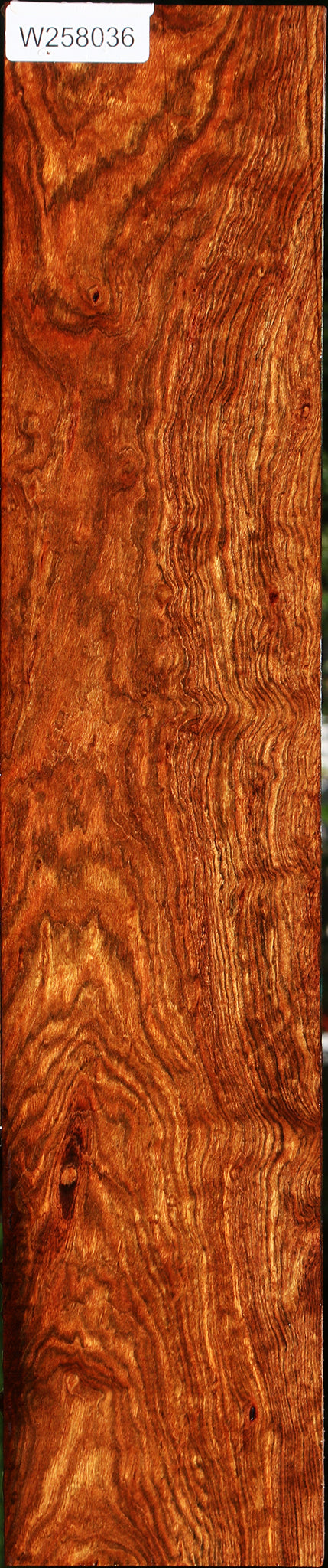 Extra Fancy Chechen Lumber