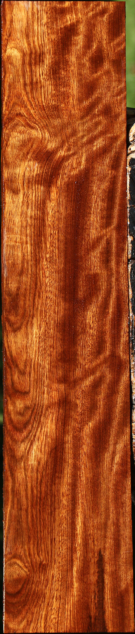 Figured Chechen Lumber
