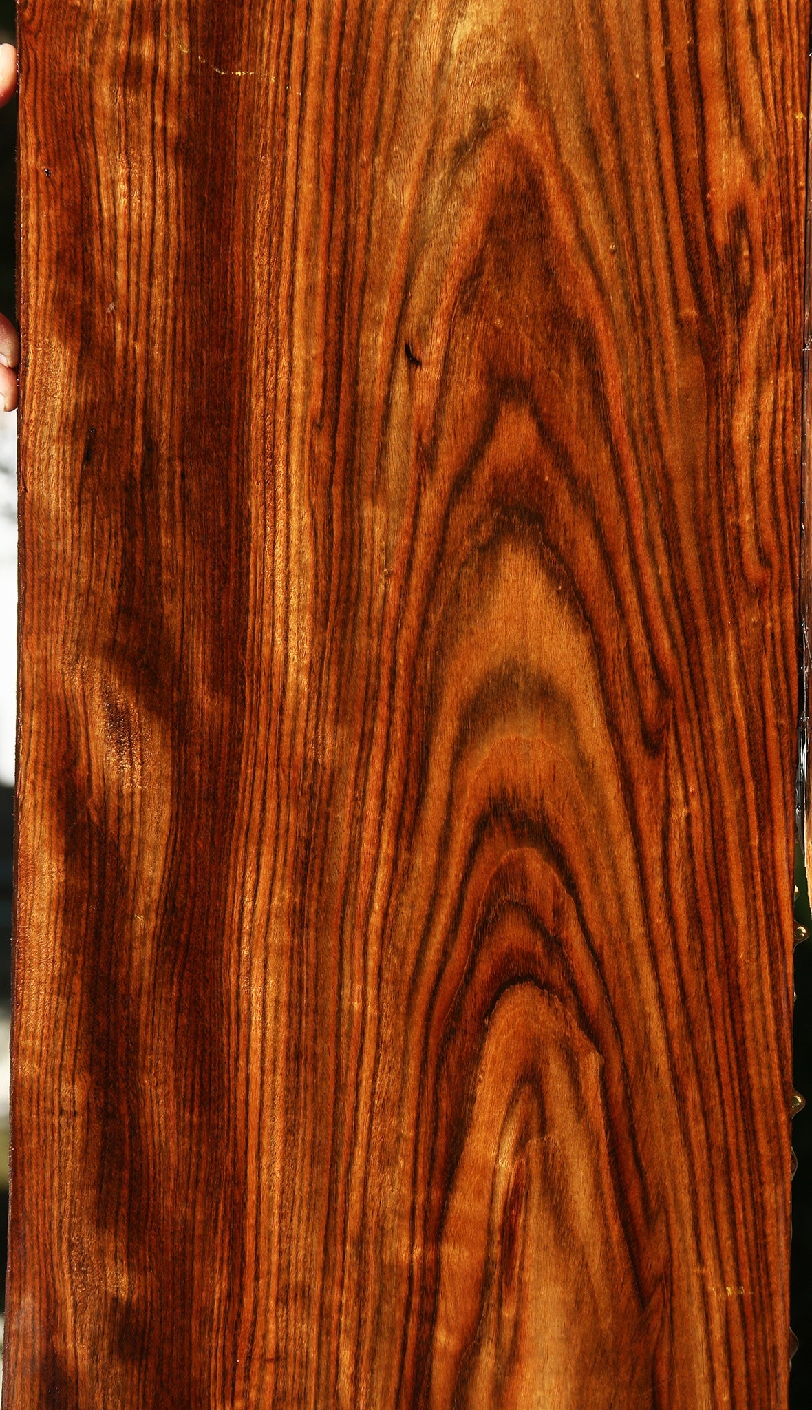 Figured Chechen Lumber