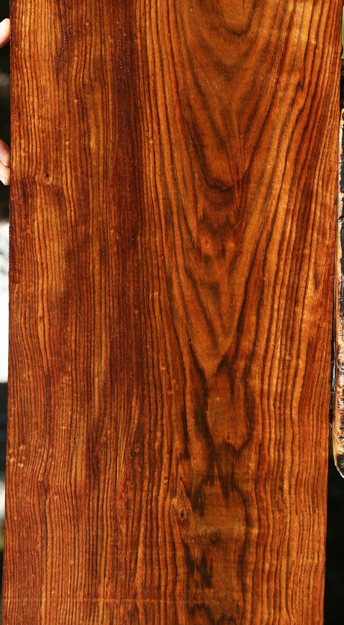 Figured Chechen Lumber