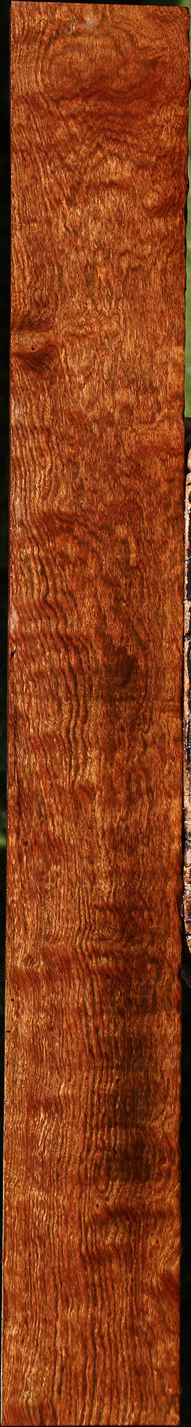 Extra Fancy Chechen Lumber