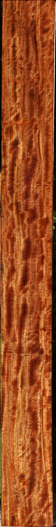 Extra Fancy Chechen Lumber